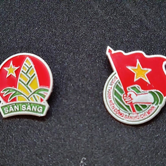 Huy hiệu đoàn, đội 